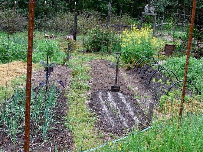 Что можно строить на землях для садоводства и огородничества?