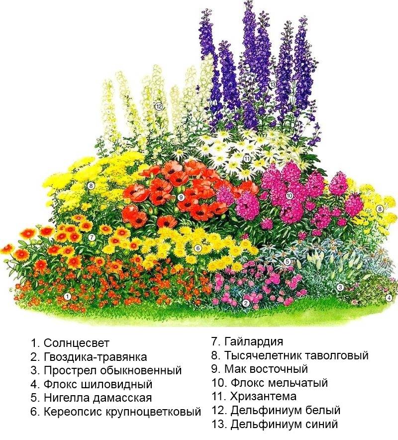 Красивые схемы клумб для дачи: виды цветников, особенности подбора растений