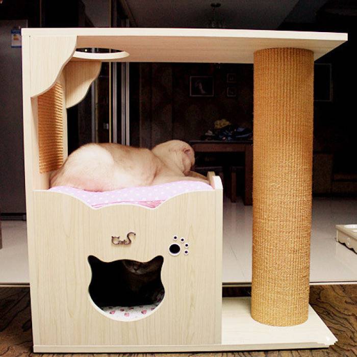 Лунная кровать для кошек своими руками – на заметку любителям пушистиков