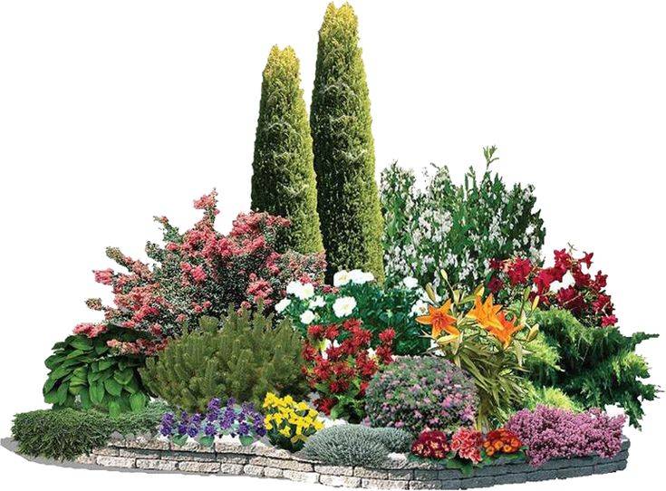 Весенние цветы фото и названия по алфавиту, дикорастущие, садовые, для букетов