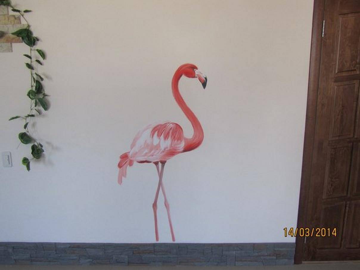 Обыкновенный фламинго – восьмое чудо света. описание и фото птицы фламинго