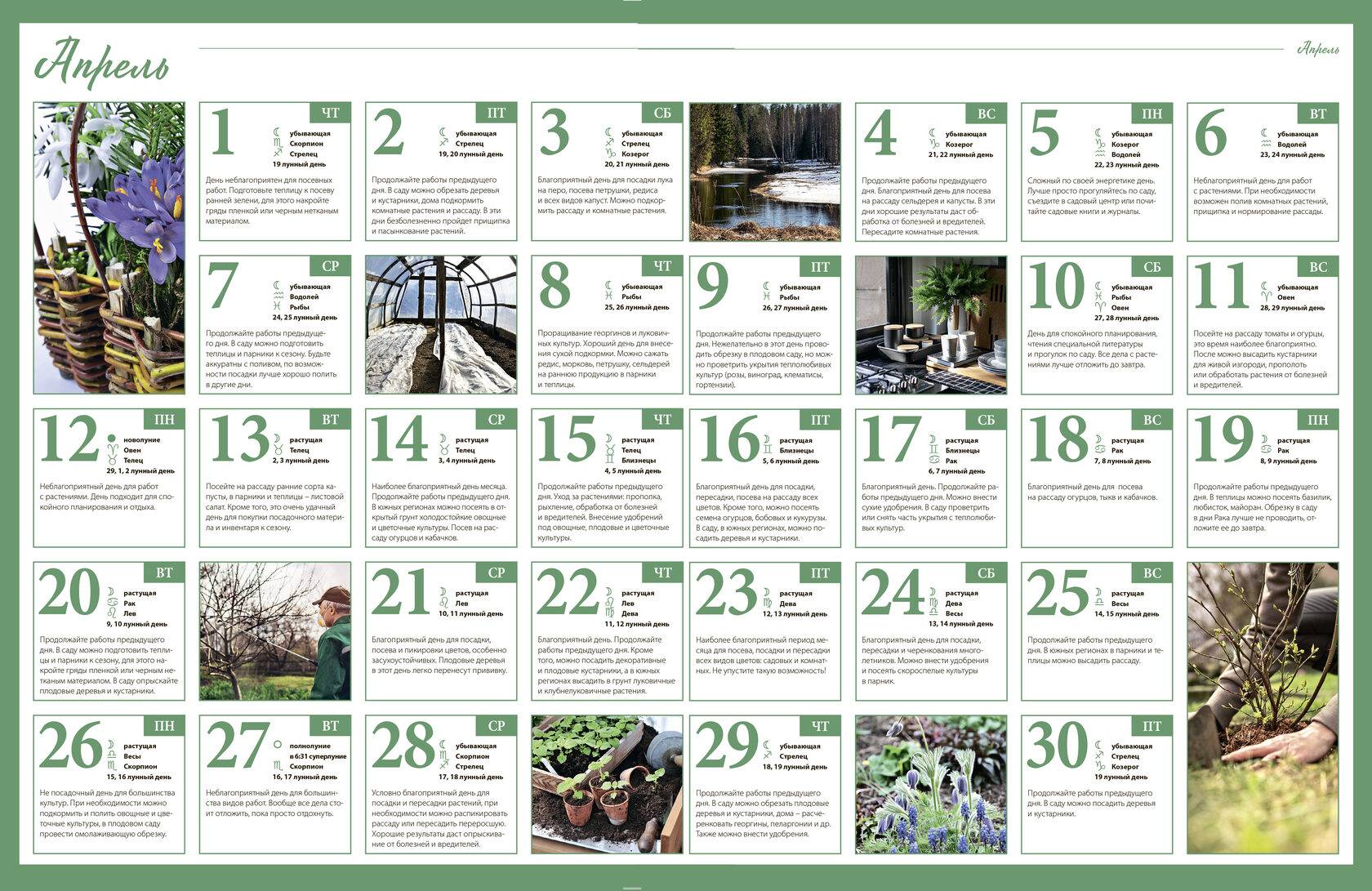 Календарь садовода и огородника на 2021 год: лучшее время для садовых работ