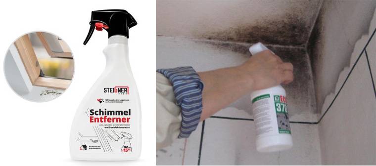 Как убрать черную плесень со стен: химические средства и очистка пораженных участков