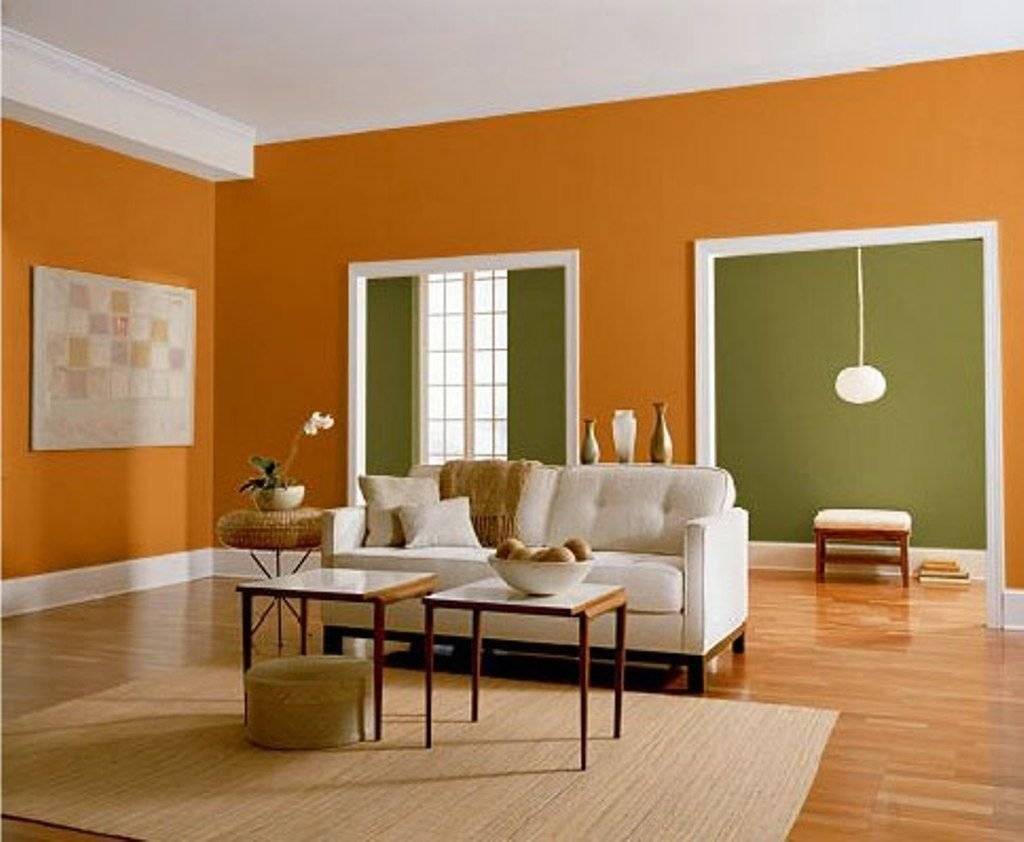 Интерьерная краска: виды составов для стен и потолков, нанесение, лучшие производители | в мире краски