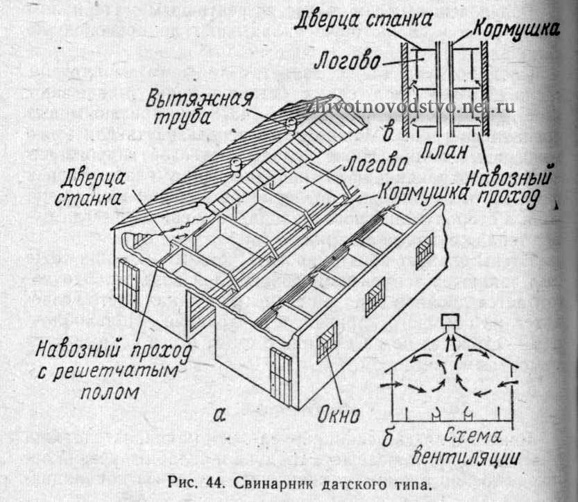 Карта для свиней