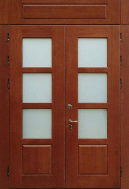 Входные двухстворчатые двери (24 фото) — двойные модели в частный дом, двустворчатые варианты для квартиры, красивые двупольные разновидности в коттедж