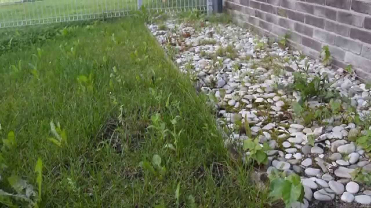 Дорожки на газоне (37 фото): газонные пошаговые дорожки из камня и из плитняка, как сделать  своими руками из природного камня