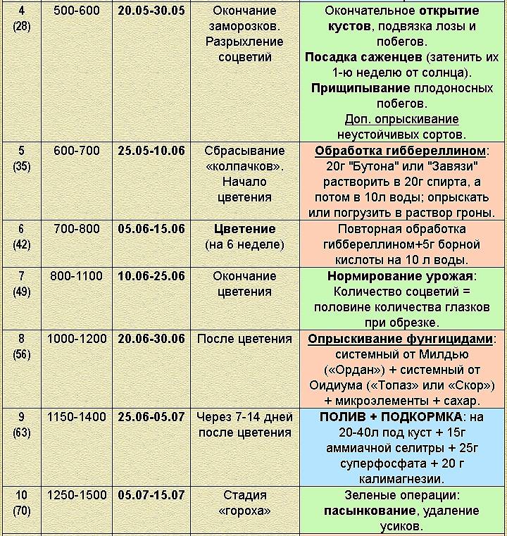 Чем обработать сад весной от болезней и вредителей