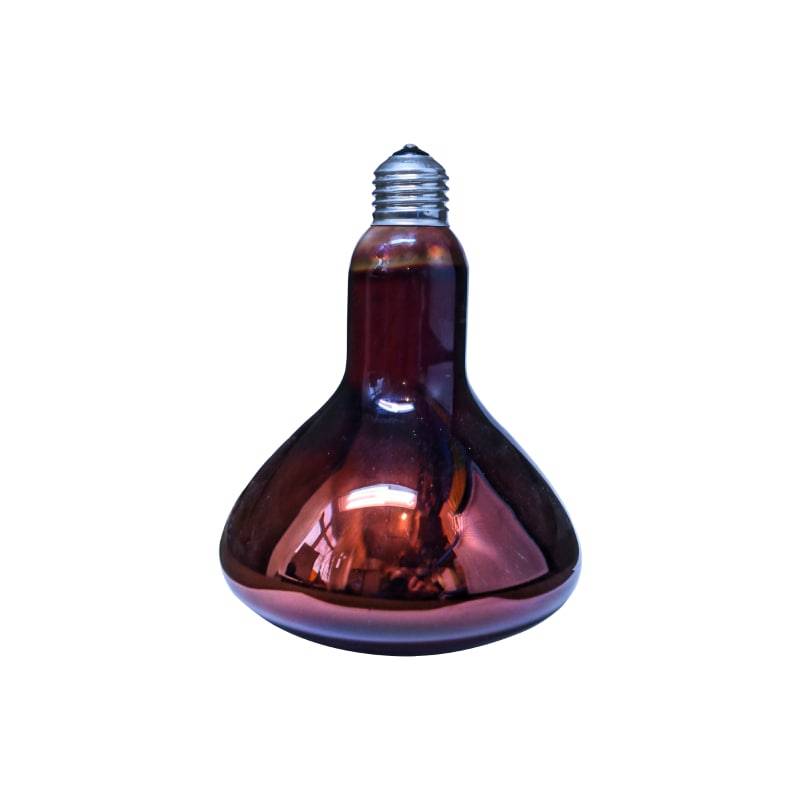 Инфракрасные лампы для обогрева курятника: как выбрать, как установить, плюсы и минусы