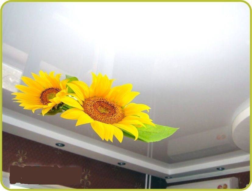 Наклейки на натяжной потолок (10 фото): виниловые декоративные изделия, можно ли клеить на потолочное покрытие
