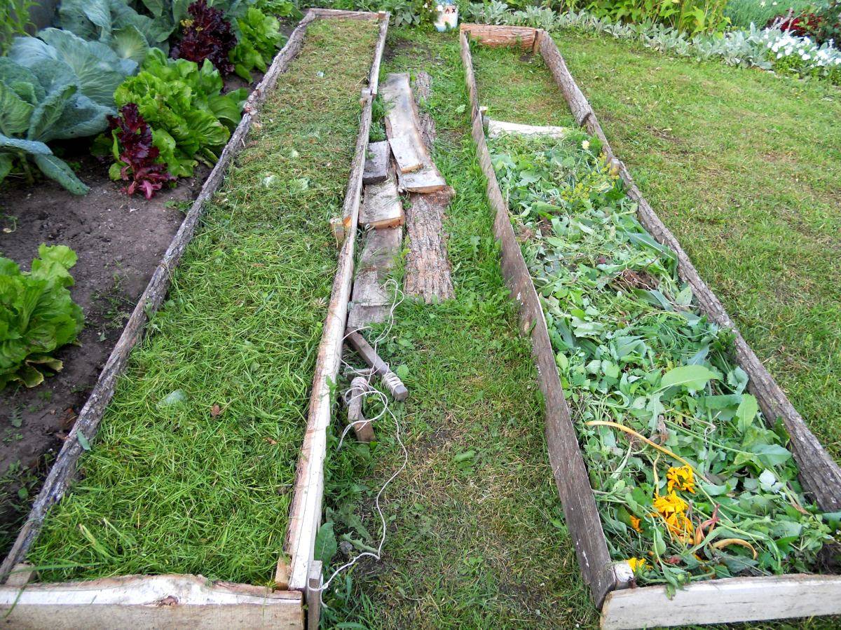Как сделать садовые дорожки на даче своими руками? (80+ фото вариантов отличных идей) +отзывы
