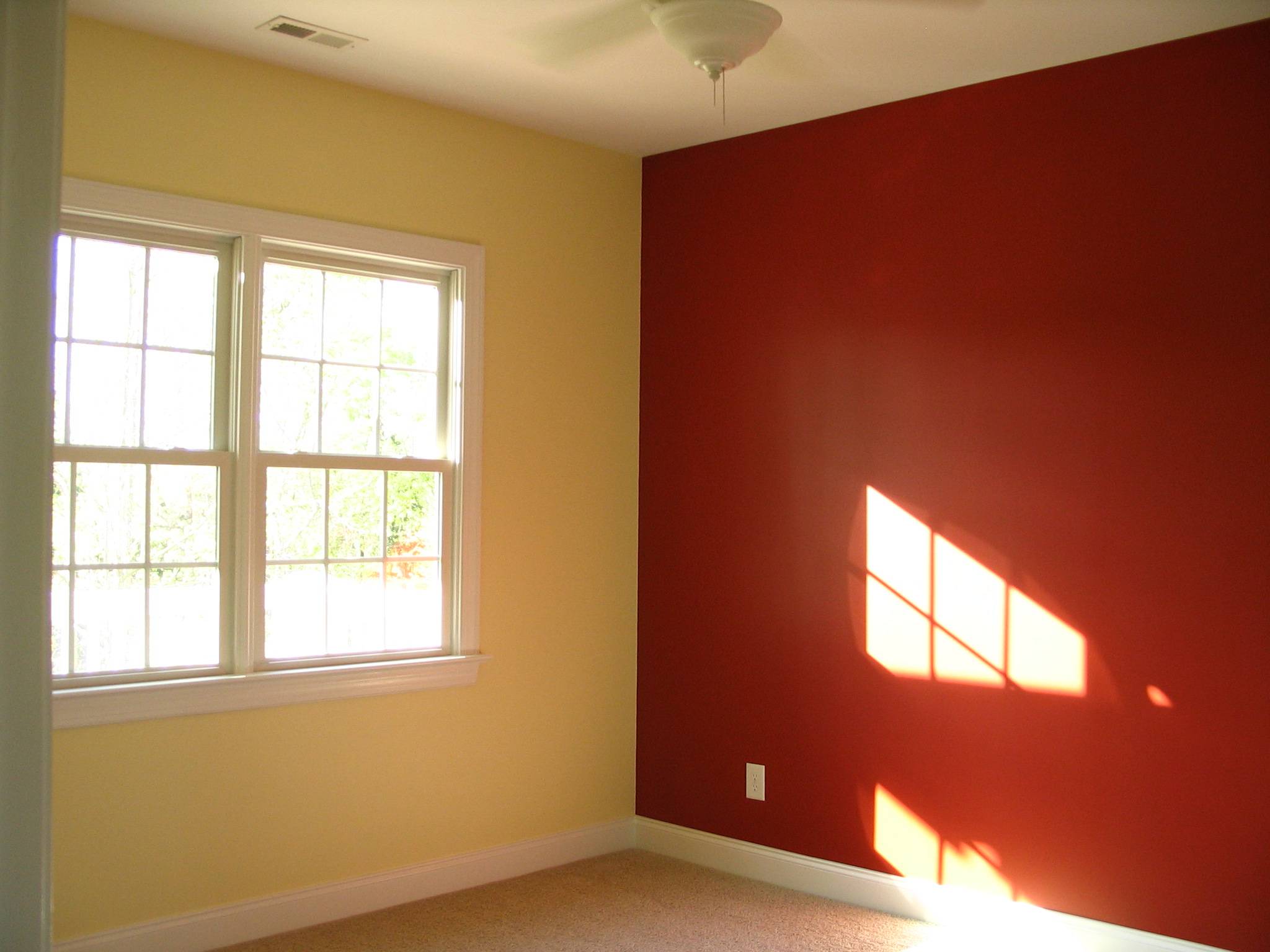 Как выбрать краску для стен в квартире
