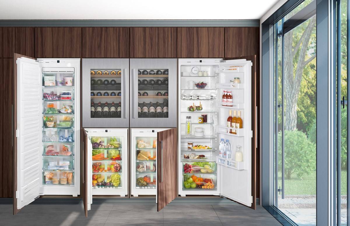 Самый вместительный холодильник для дома и семьи