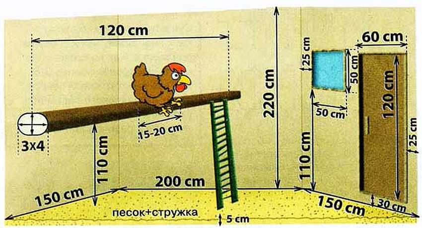 Курятник на 100 кур несушек с выгулом: как построить птичник на 1000