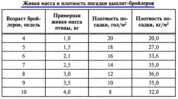 Курятник своими руками на 5 кур