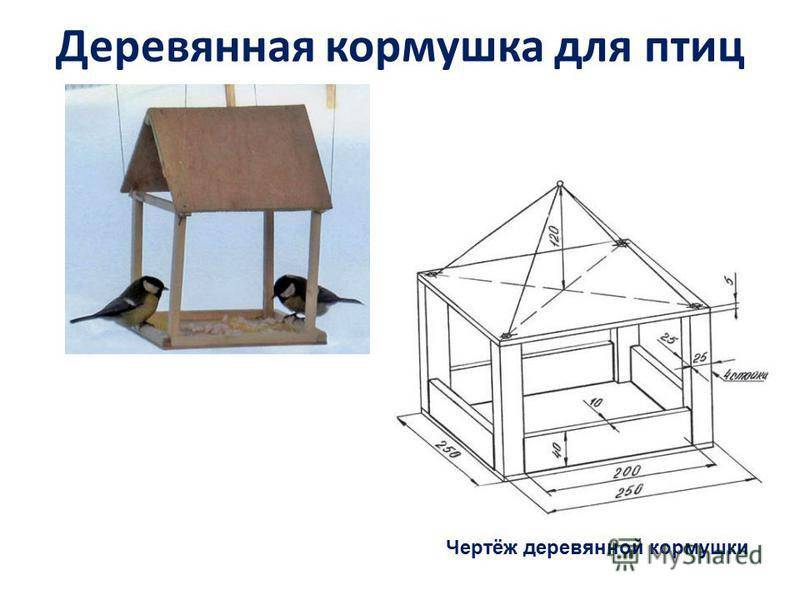 Кормушка для птиц своими руками из фанеры чертежи с размерами фото