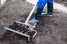 Как правильно копать землю лопатой?