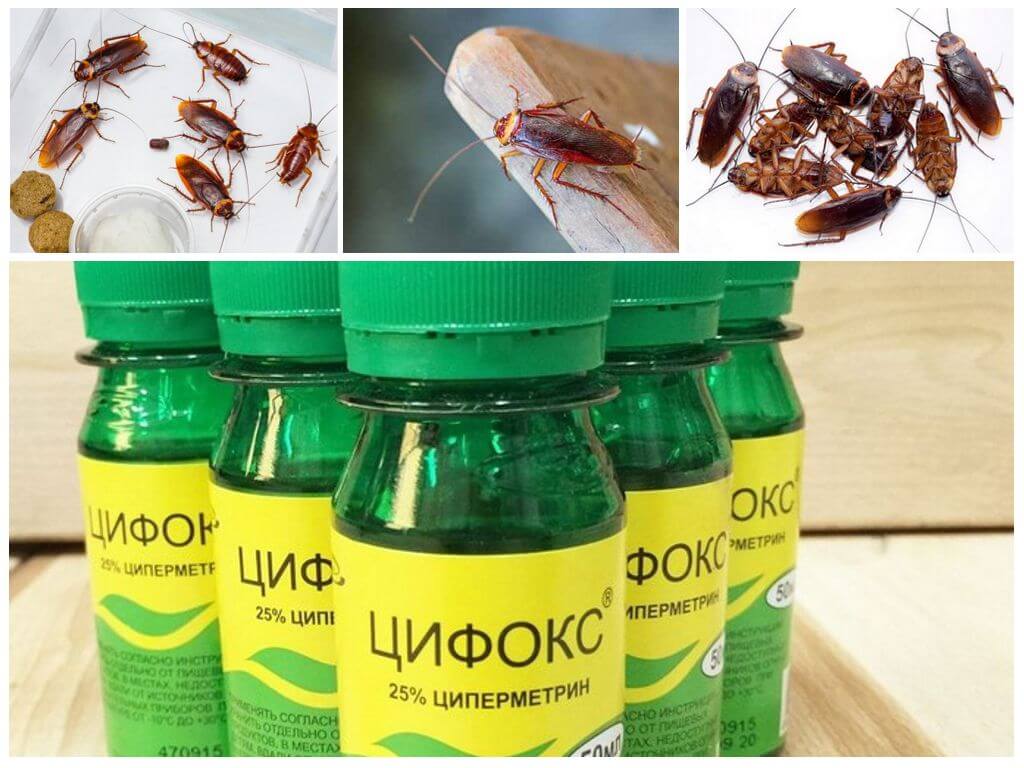 Самые эффективные средства от тараканов в квартире: промышленные, бытовые, народные