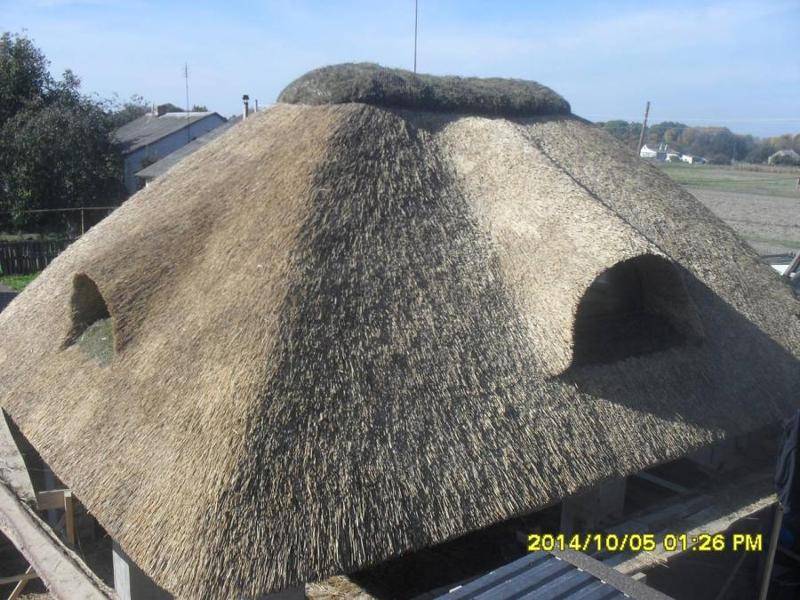 Крыша из камыша своими руками – конструкция и технология монтажа (видео, фото)