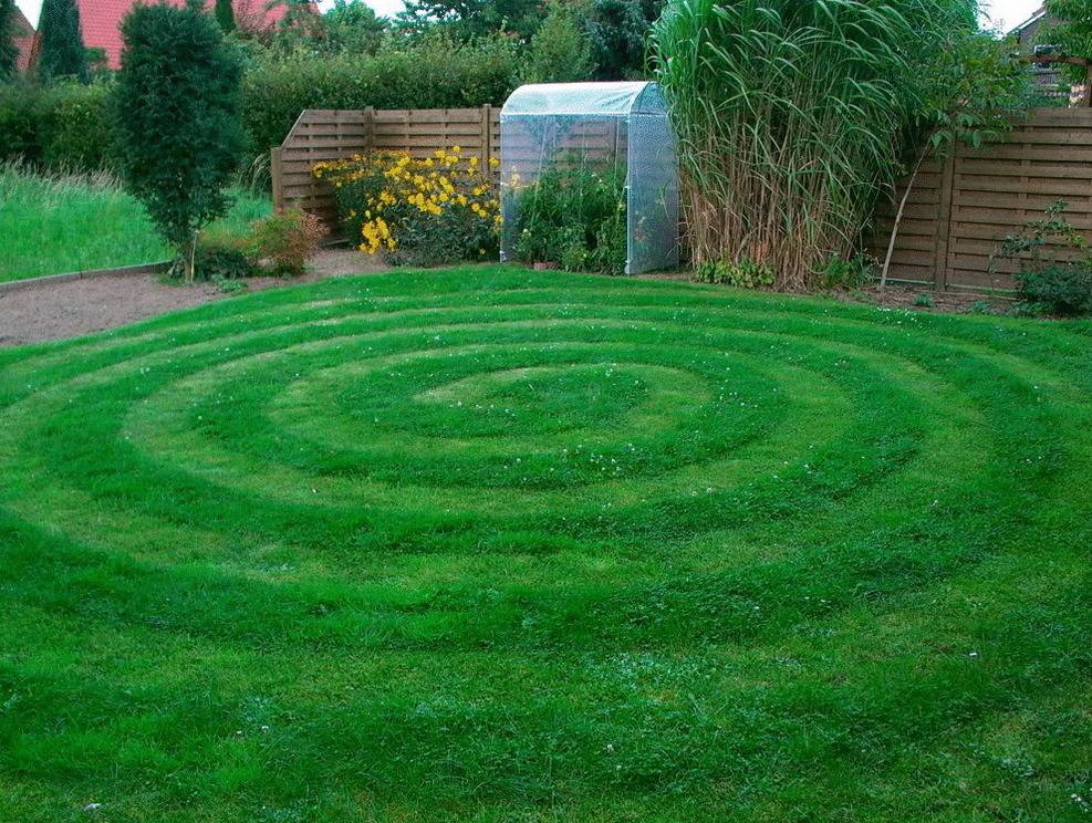 Как правильно сделать газон на дачном и садовом участке