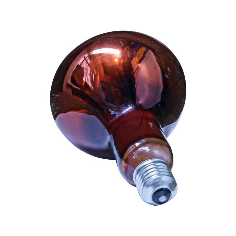 Инфракрасная лампа для обогрева курятника: можно ли использовать, как установить, отзывы