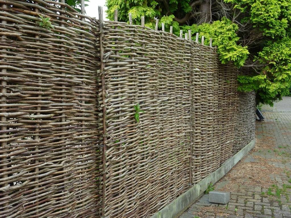 Плетня (46 фото): как сделать плетеный забор на даче своими руками, декоративная изгородь из лозы в ландшафтном дизайне