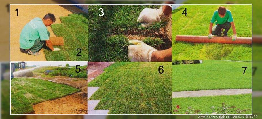 11 советов, как укладывать рулонный газон своими руками. устройство рулонного газона | строительный блог вити петрова | сортовед