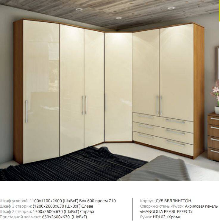 Распашной шкаф: примеры стильного дизайна и грамотного использования в интерьере (95 фото)