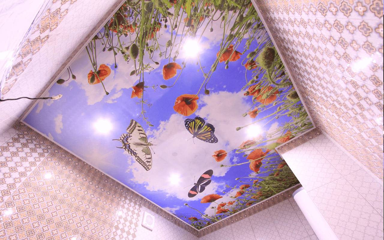 Натяжной потолок в прихожей (80 фото) - красивые идеи дизайна потолка