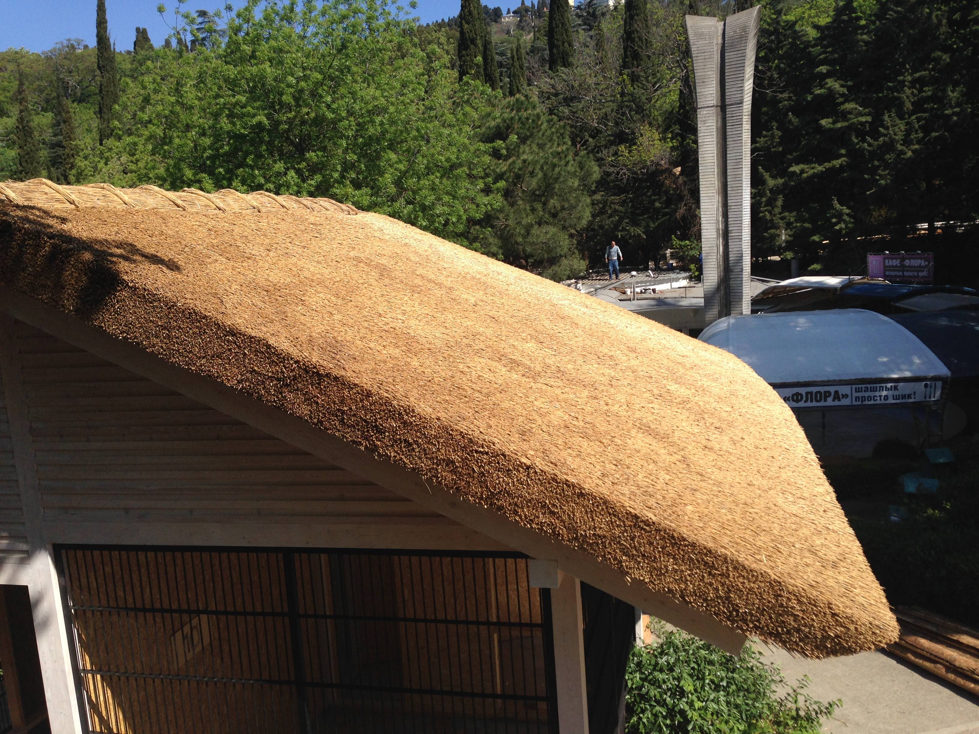 Камышовая крыша: технология постройки своими руками