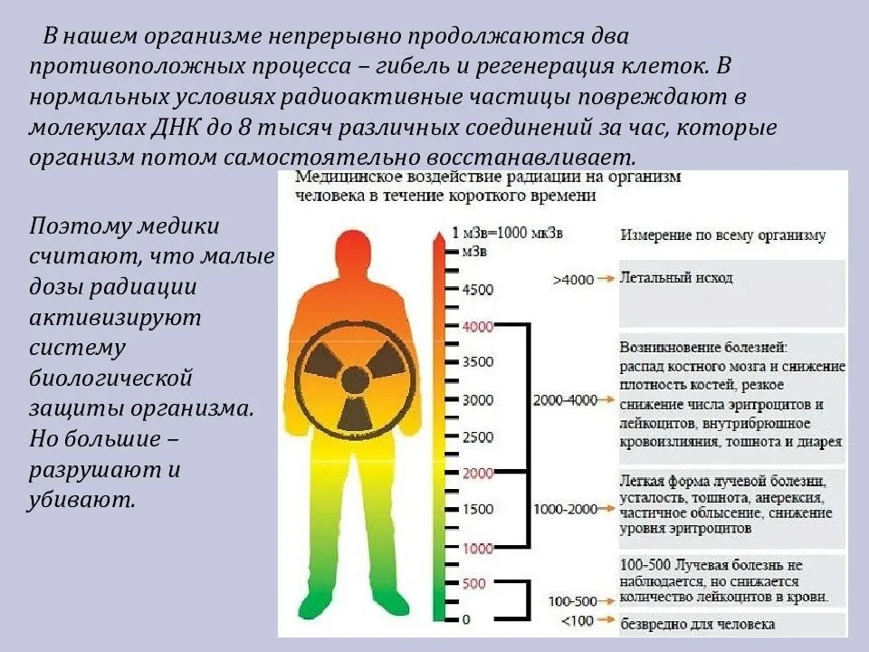 В каких единицах измеряется радиация? предельные нормы | science debate