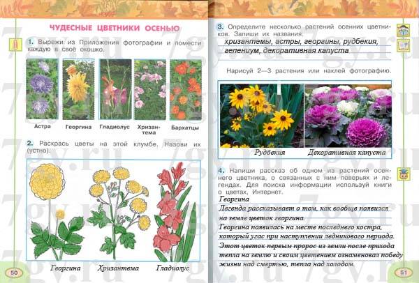 8 основных видов цветников. какие бывают цветники? фото — ботаничка.ru