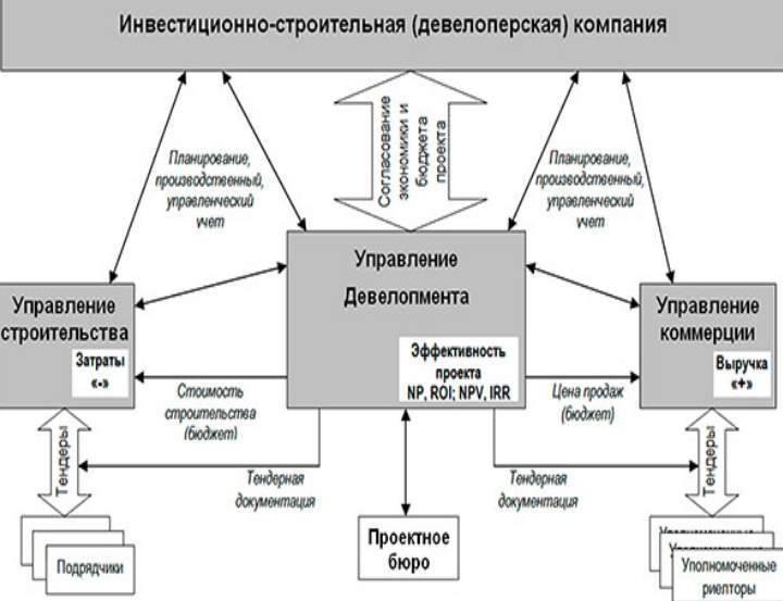 ???? что такое девелопер: история возникновения, функции