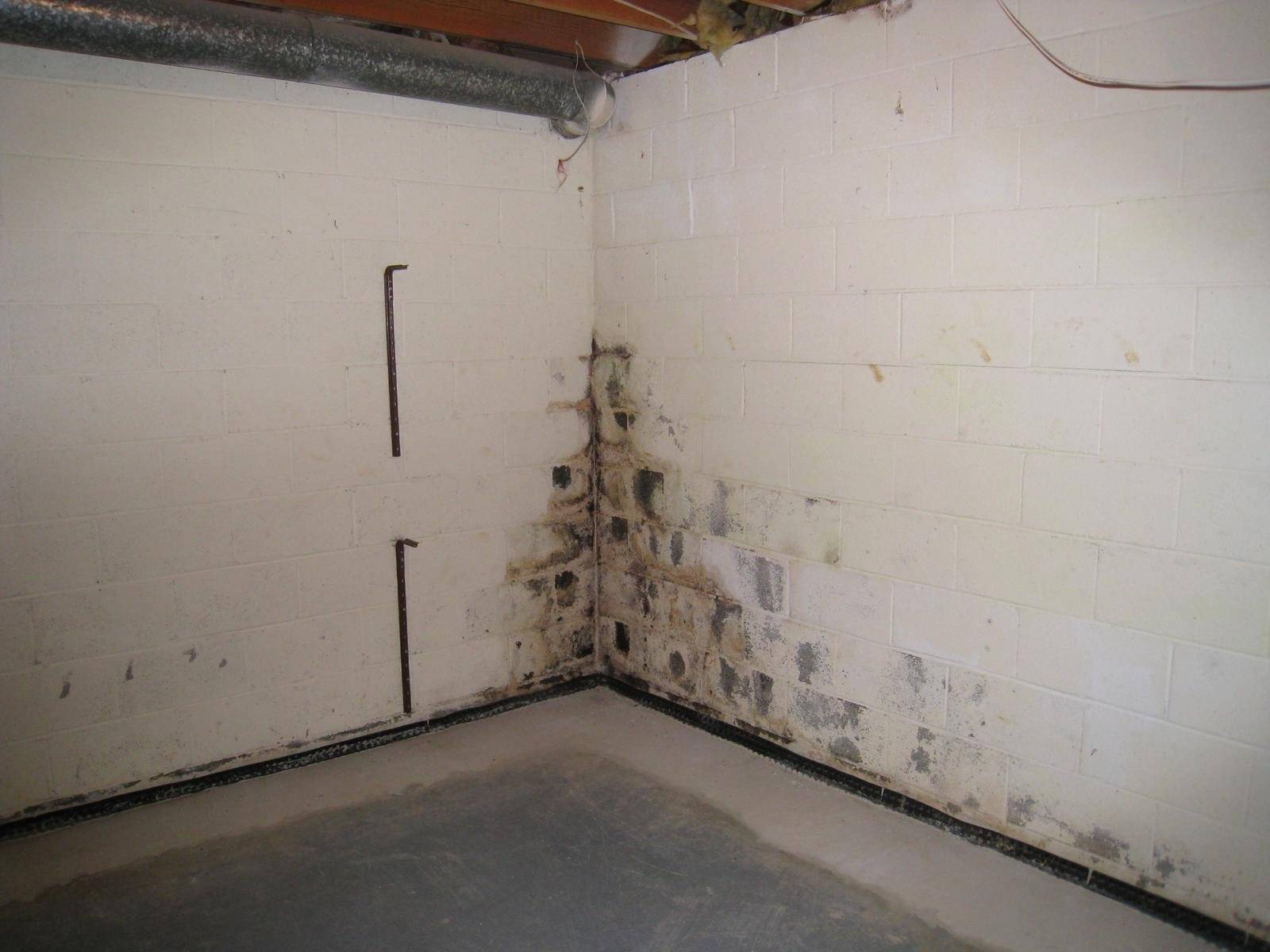 Что делать, если сыреют углы и стены в квартире или частном доме: способы устранения сырости
