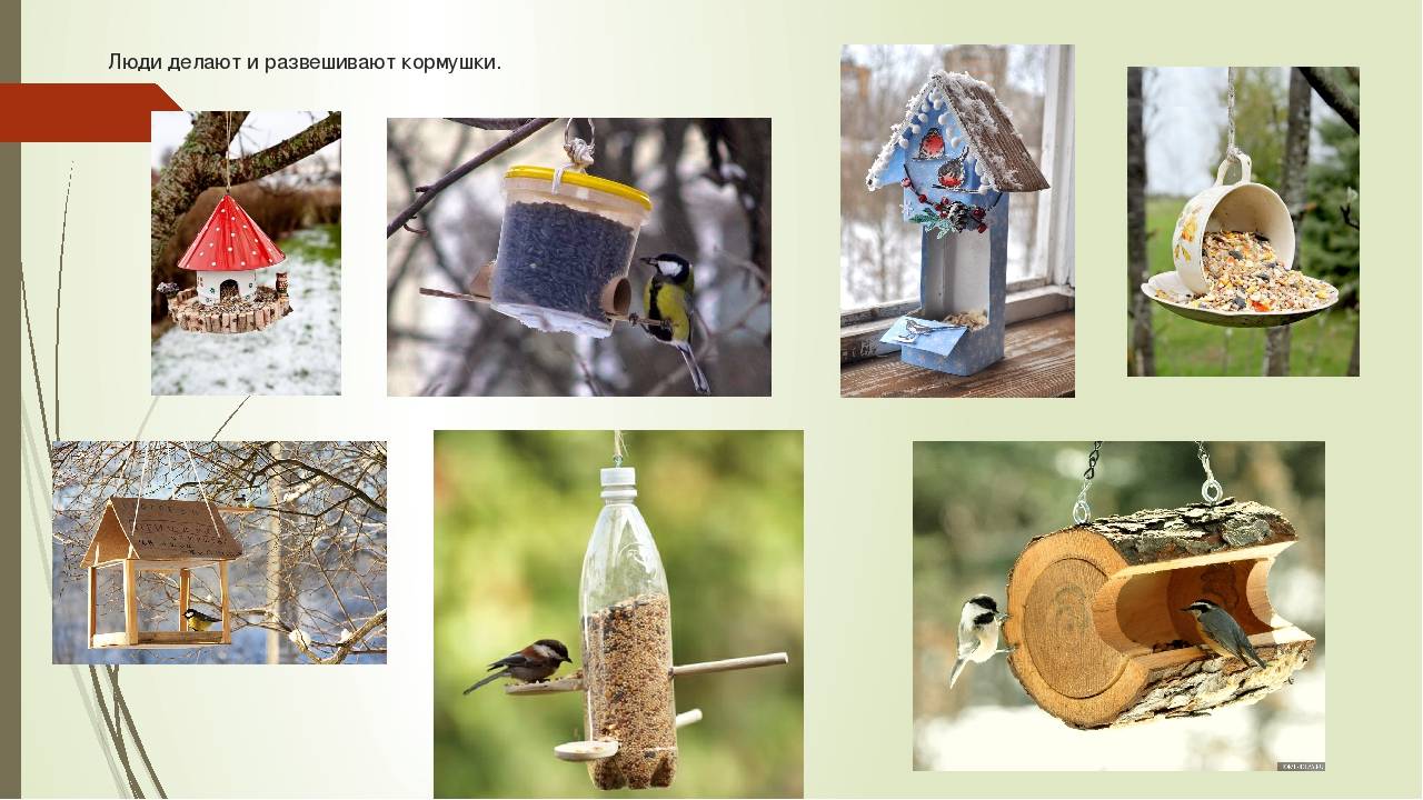 Кормушки для птиц своими руками - 115 фото оригинальных и практичных кормушек