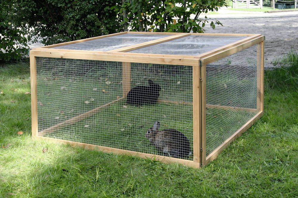 Вольеры для кроликов: содержание и разведение в них, инструкция постройки и фото