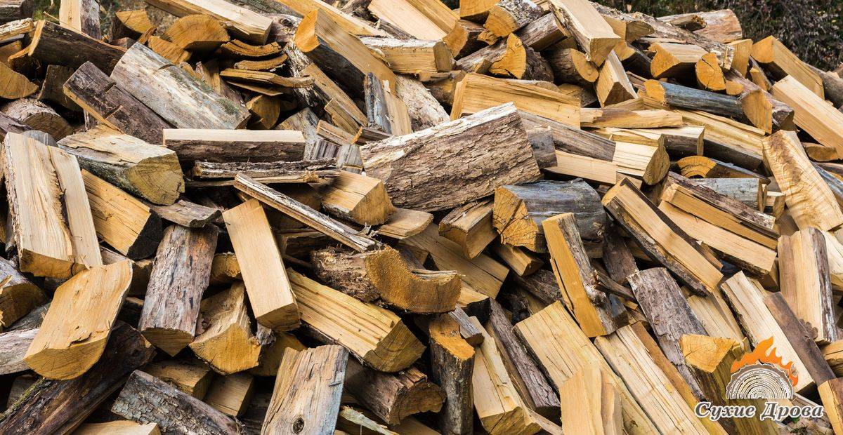 Сколько сохнут колотые дрова разных пород