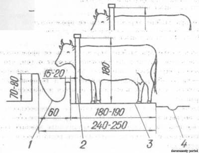 Откорм бычков на мясо в домашних условиях: рацион кормления, как выкормить?
