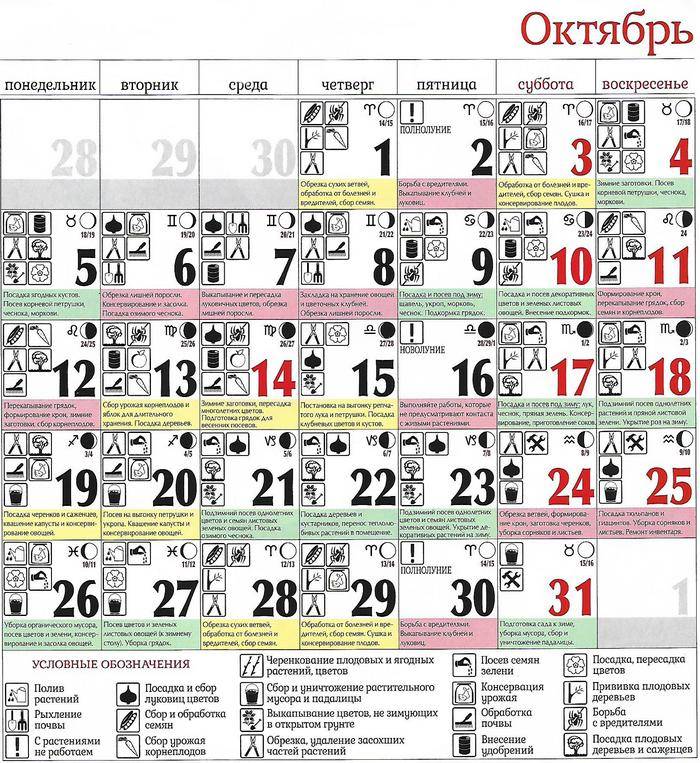 Лунный посевной календарь 2022 года по месяцам для огородников сибири и урала: таблица посевов овощей, зелени, цветов