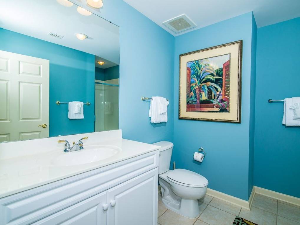 Краска для ванной комнаты: какую выбрать для покраски стен, какой краской покрасить, как красить, рейтинг лучших, фото
