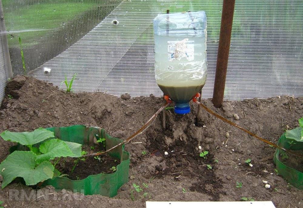Как сделать капельный полив для огорода своими руками: (фото + видео)