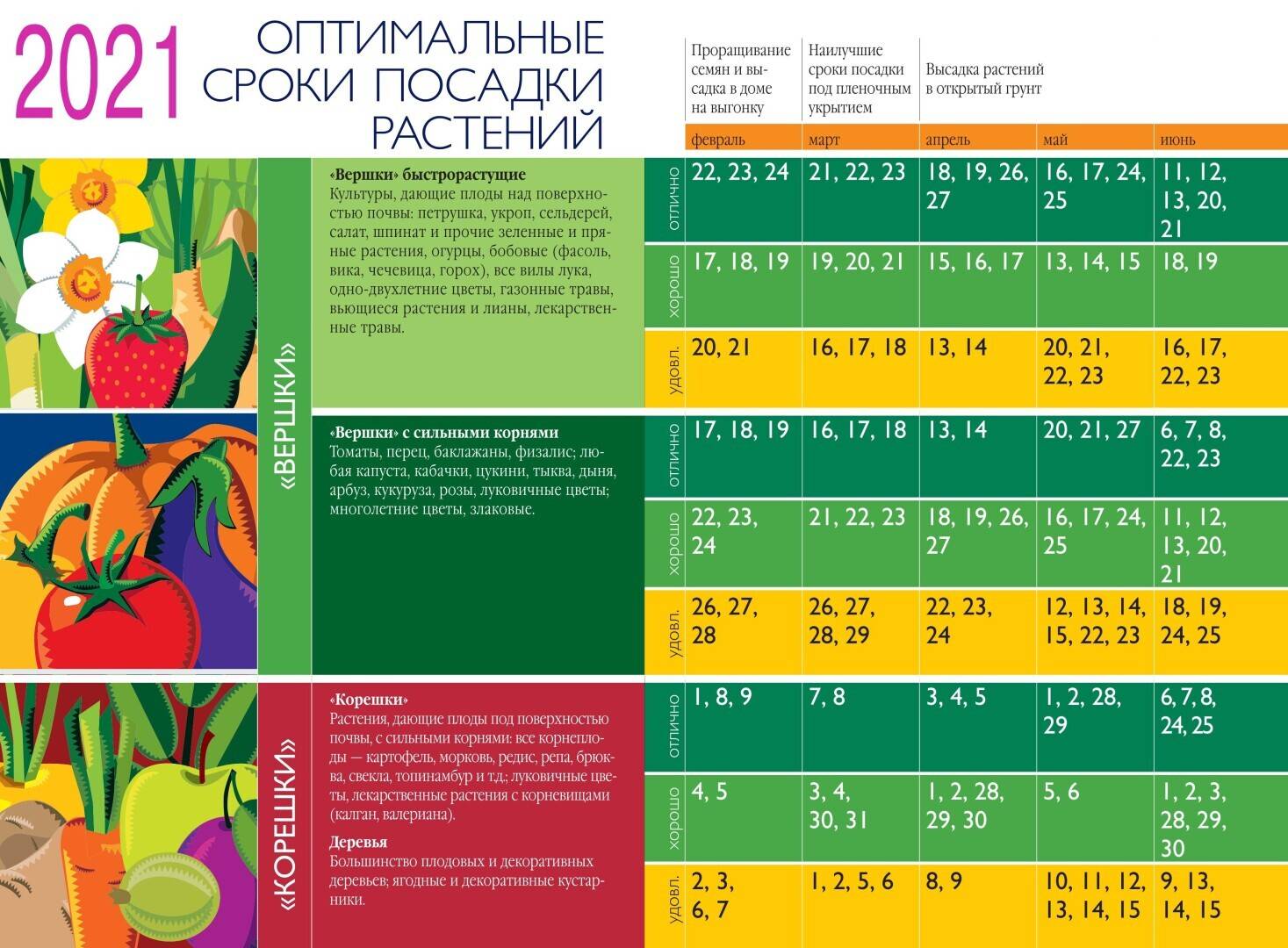 Посевной лунный календарь садовода и огородника на 2022 год | razgadamus.ru