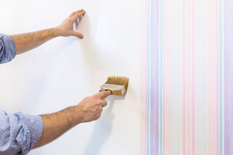 Обои или покраска стен: что практичнее и дешевле?