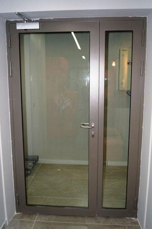 Алюминиевые входные двери: в частный дом, со стеклом