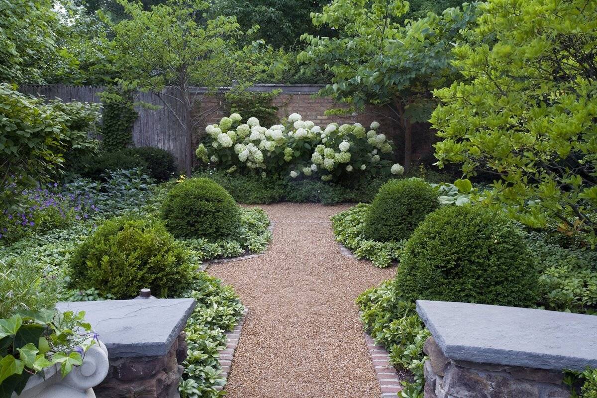 Хвойные растения и деревья в ландшафтном дизайне – создаем красивые хвойные композиции в саду