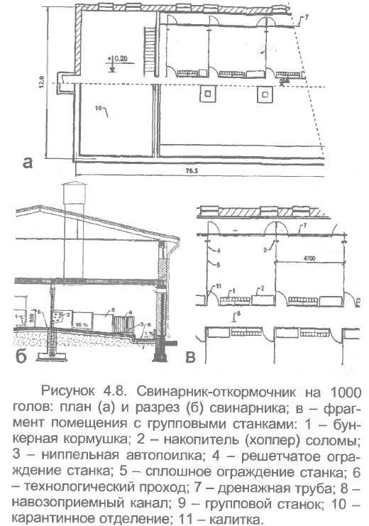 Проектирование и строительство свинарника своими руками